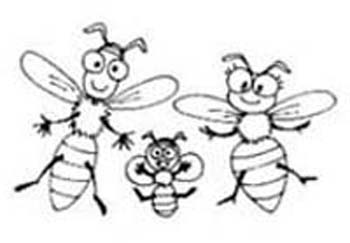 18_Bugs